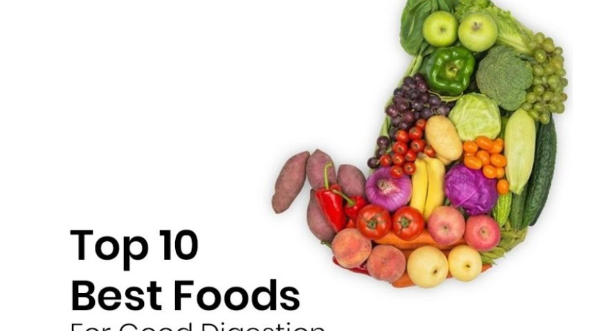 10 Best High-Protein Foods to Boost Metabolism